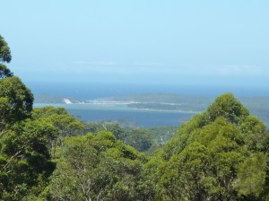 Walpole/Denmark area - where the forest meets the ocean. How good is this...