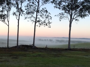 Early morning mist over the valley.