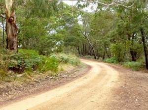 Free camping - the road less travelled.