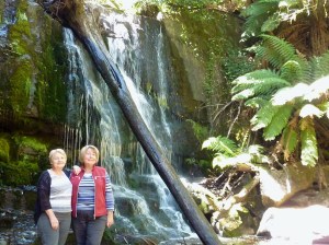 Wendy and I at Lilydale Falls.