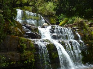 Liffey Falls.