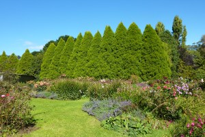 Pretty Allendale Gardens.