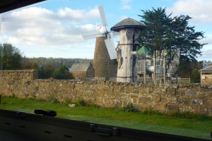 View from our rear window of the flour mill