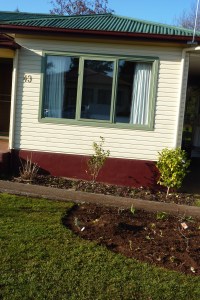 Small rose bed cut out of lawn - a full days work to dig.