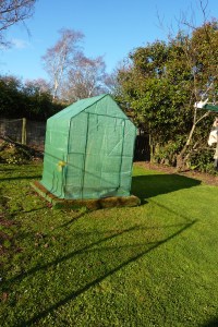 Making use of another disused concrete slab with a green house for seed raising.