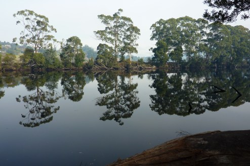 Reflections in the river.