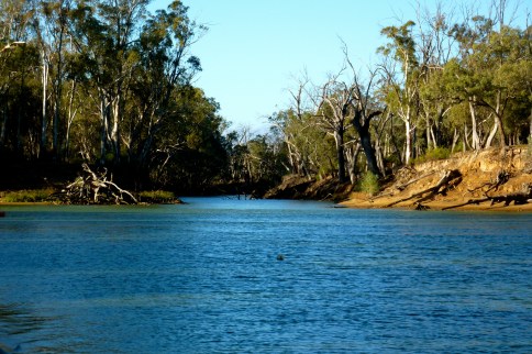 Red River Gums lining the banks of the River.