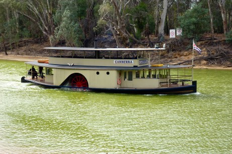 Our Paddle Steamer