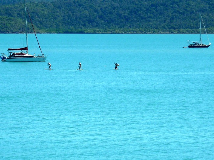 Paddle boarders on hired boards.