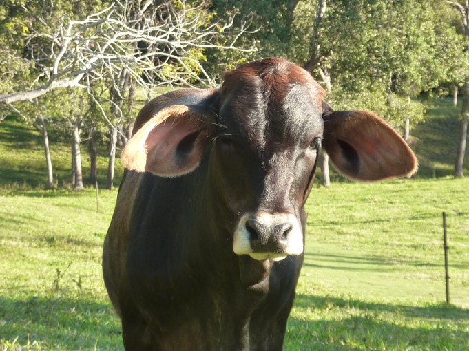 This one's not camera shy.