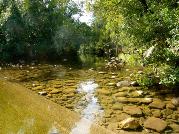 A cool, clear stream to ford to get to Eungella picnic ground.