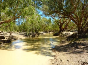 The murky, but tranquil Flinders river running through the property - croc habitat, so didn't get too close.