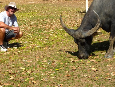 Check out the span of those horns. 