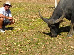 Check out the span of those horns. 