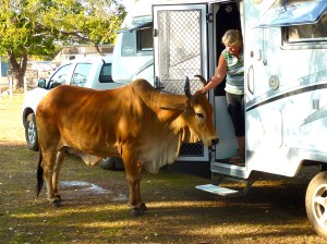 Enjoying a head scratch. 