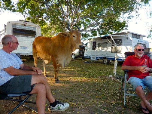 We thought she was going to join us for a beer with the neighbours.