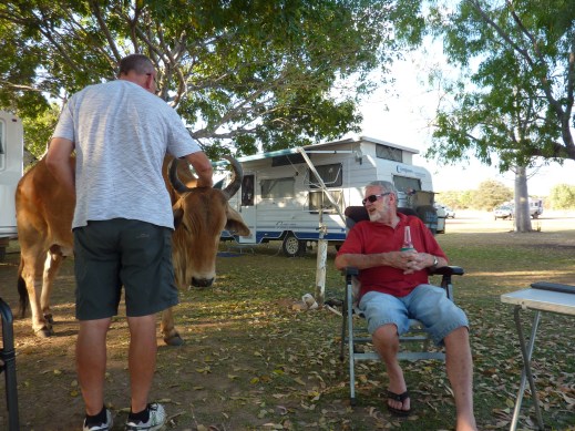 But no, she just wanted another scratch.