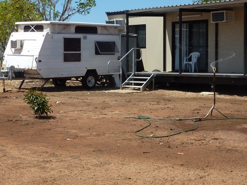 Lawn seed and one small tree has been planted.