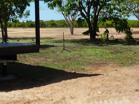 The mango orchard forms a pleasing back ground from Kelv's back verandah. 