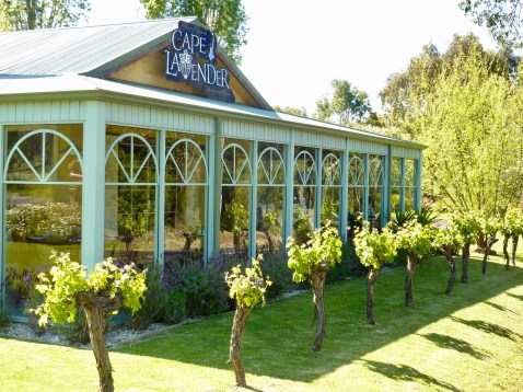 Where we ate cake while listening to the dulcet tones of the rat pack.