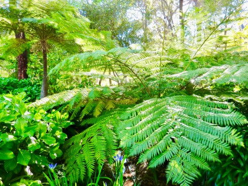 Another pretty vineyard garden. 
