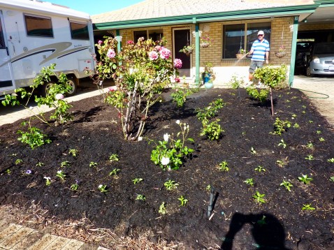 Paul taking care of the daily watering.