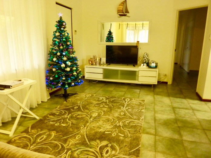 All decorated for the silly season.