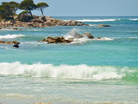 White caps - The Australia White Christmas dream.