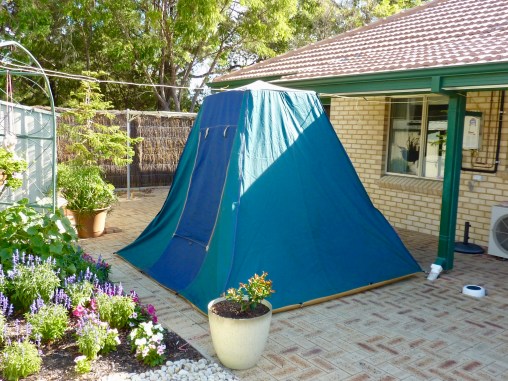 Bricks inside instead of the necessary  pegs provided a rough erection simulation.