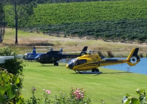 Thought our ride may have arrived....