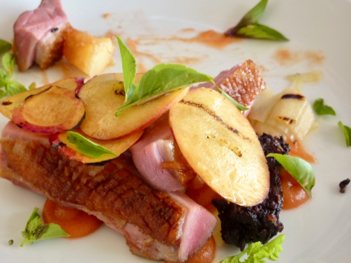 Paul's duck breast, cooked perfectly.